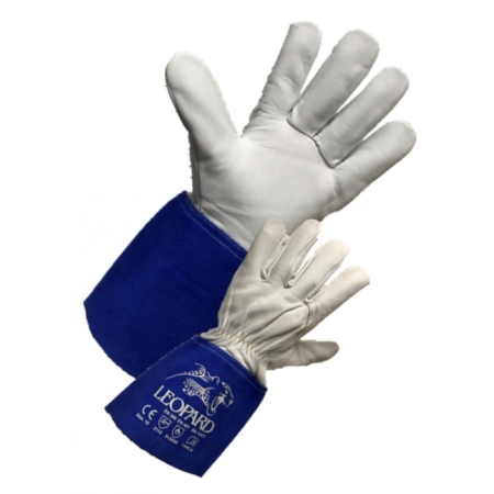 Premium Blue Tig gloves